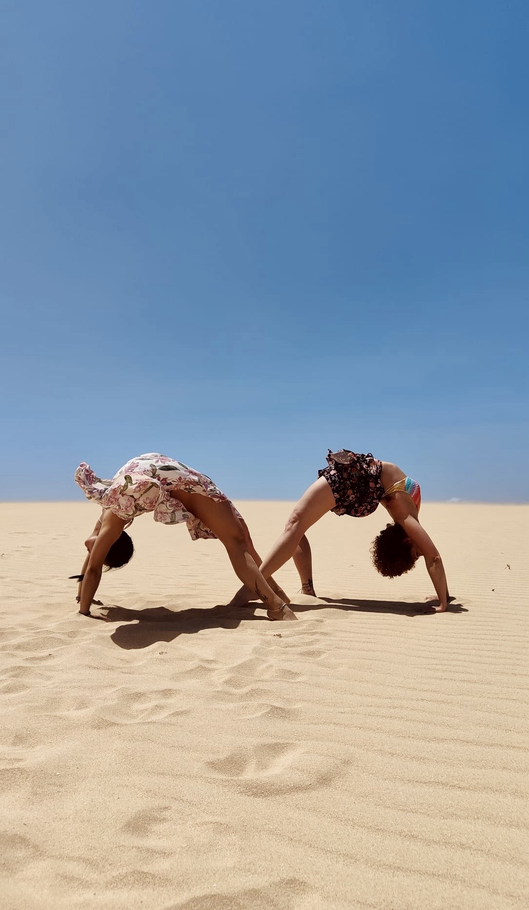 a03f7182-fda6-44fe-89da-1aa48b8d4172-1